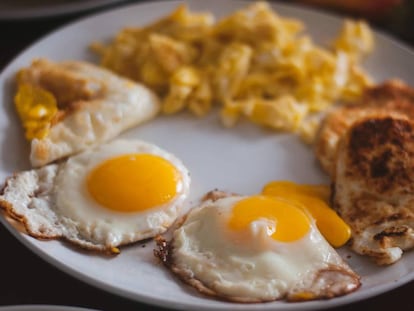 Los huevos han sido objeto de muchas controversias científicas.