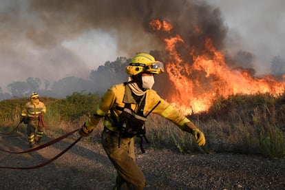 La situación del fuego en Zamora ha empeorado a lo largo de la tarde de este lunes debido a los vientos de más de 50 kilómetros hora que se han sumado a una humedad por debajo del 20%. En la imagen, los bomberos luchan contra las llamas. 