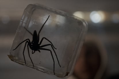 Fotograma de 'Vermin: la plaga'.