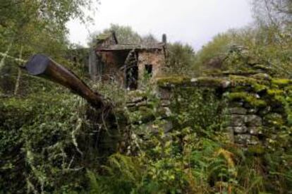 Pueblo abandonado de A Lavandeira, perteneciente al municipio orensano de San Cristovo de Cea. EFE/Archivo