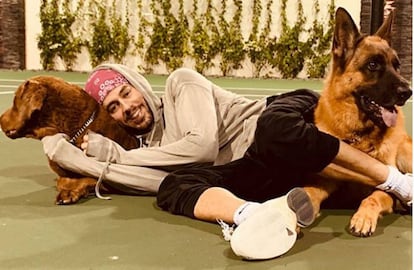 Enrique Iglesias, con sus perros, en una fotografía publicada en su cuenta de Instagram.