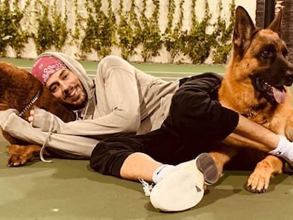 Enrique Iglesias, con sus perros, en una fotografía publicada en su cuenta de Instagram.