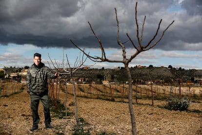 Alvaro Díaz en su finca Las Marismas, donde cultiva el pistacho, en el KM.2.700 de la carretera de Aranjuez a Colmenar de Oreja