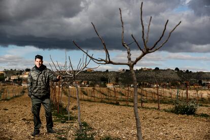 Alvaro Díaz en su finca Las Marismas, donde cultiva el pistacho, en el KM.2.700 de la carretera de Aranjuez a Colmenar de Oreja