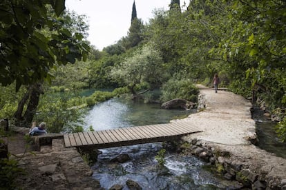 Desde la altísima fortaleza de Nimrod, Etzba HaGalil (el Dedo de Galilea), baluarte de las Cruzadas, se extiende como un mapa topográfico. Se pueden seguir los wadis de las reservas naturales de Banias (en la foto) y Yehudiya de camino al río Jordán y al mar de Galilea. Los suelos de basalto del Golán son ideales para cultivar uva, y algunos de los mejores vinos artesanales de la región surgen de estas cepas.