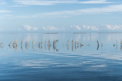 Una charfiya, sistema de pesca pasiva de Kerkennah, en Túnez