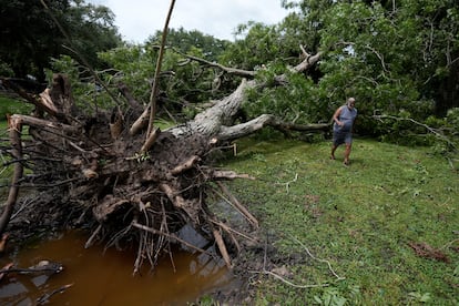 Un hombre observa los daños en el jardín de su vecino, en Bay City (Texas), este lunes.