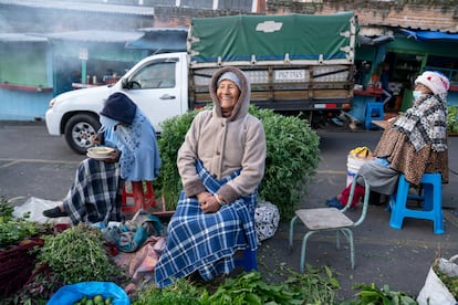 María Tránsito Ulco Ulquiango en su puesto de venta de plantas medicinales.