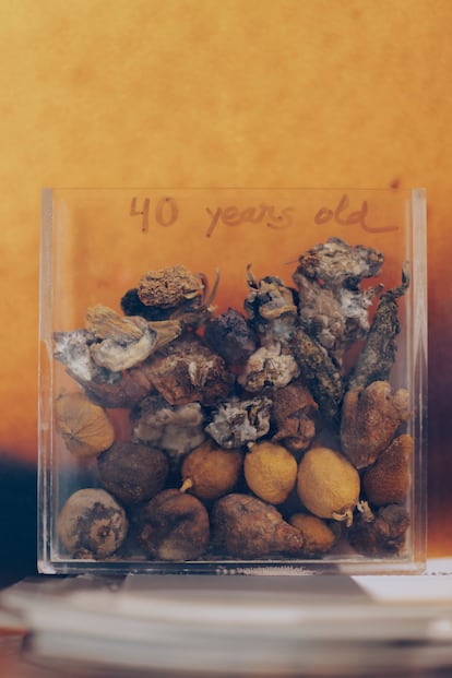 Frutas y tubérculos deshidratados. “El clima seco de Madrid lo conserva todo”,