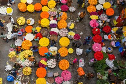 Vendedores de flores en un mercado en Bangalore (India).