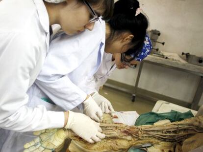 Estudiantes de Medicina en la sala de disección.