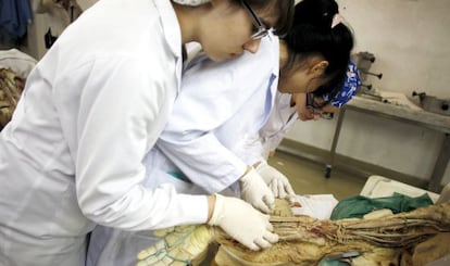 Estudiantes de Medicina en la sala de disección.