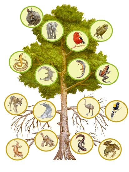 Ilustración del árbol de la vida de Marco Antonio Pineda