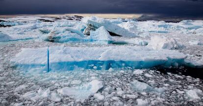 Hielos flotantes en Booth Island (Península Antártica).