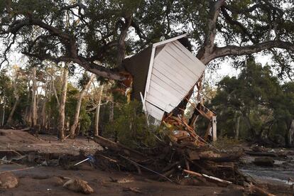 Una caseta completamente destrozada fue levantada por un alud de lodo hasta acabar en un árbol en Montecito, California, el 10 de enero de 2018. 