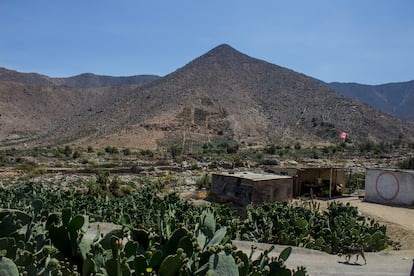 En un reservorio subterráneo, los campesinos almacenan el agua de la temporada de lluvia que luego bombean con electricidad para regar sus cultivos de chumberas.