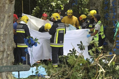 Al menos 13 personas han muerto en la localidad de Senhora do Monte (en la isla portuguesa de Madeira) al caer sobre la multitud que asistía a una ceremonia religiosa al aire libre un árbol de grandes dimensiones, según han informado varios medios locales. En la imagen, bomberos y trabajadores de los equipos de rescate trabajan en el lugar del suceso.