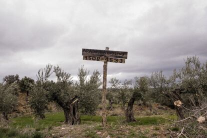 Apadrina Un Olivo puede gestionar las fincas del pueblo gracias a una figura jurídica llamada custodia del territorio, mediante la cual, los propietarios ceden el usufructo del terreno a una organización sin ánimo de lucro para preservar un ecosistema, en este caso, a los olivos centenarios de Oliete.