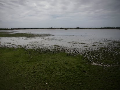 La laguna de Doñana vista desde el centro ornitológico Francisco Bernis, en El Rocío, Almonte (Huelva).