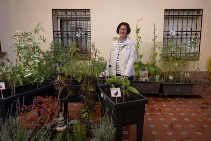 Matilde Bravo, profesora del colegio Santa Teresa, en San Juan de Aznalfarache (Sevilla).