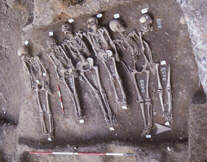 Restos de cuatro cadáveres de personas fallecidas por la peste negra y recuperados en el cementerio londinense de East Smithfield, a partir de los cuales se ha podido aislar y secuencia la bacteria causante de la epidemia.