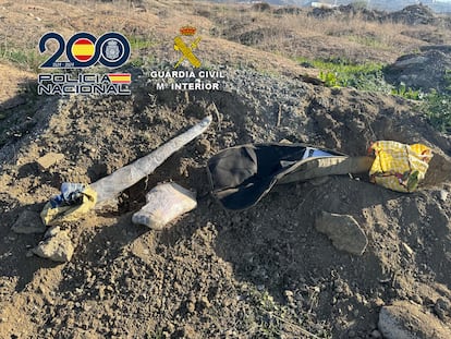 Algunas de las armas incautadas por los agentes.