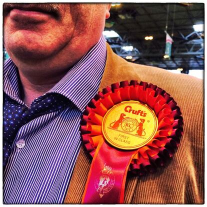 BIRMINGHAM, ENGLAND - MARCH 05: (EDITORS NOTE: This image was created using digital filters) A category winner poses with his rosette on the first day of Crufts dog show at the National Exhibition Centre on March 5, 2015 in Birmingham, England. First held in 1891, Crufts is said to be the largest show of its kind in the world, the annual four-day event, features thousands of dogs, with competitors travelling from countries across the globe to take part and vie for the coveted title of 'Best in Show'. (Photo by Carl Court/Getty Images)