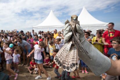 Delta Birding Festival