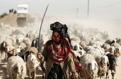 Una mujer palestina guía un rebaño de ovejas cerca de la frontera entre Gaza e Israel. 