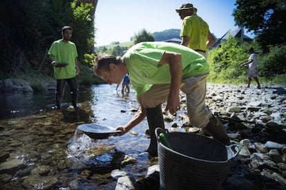 Ismael Sanfiz searches for gold in Navelgas river, in Asturias.