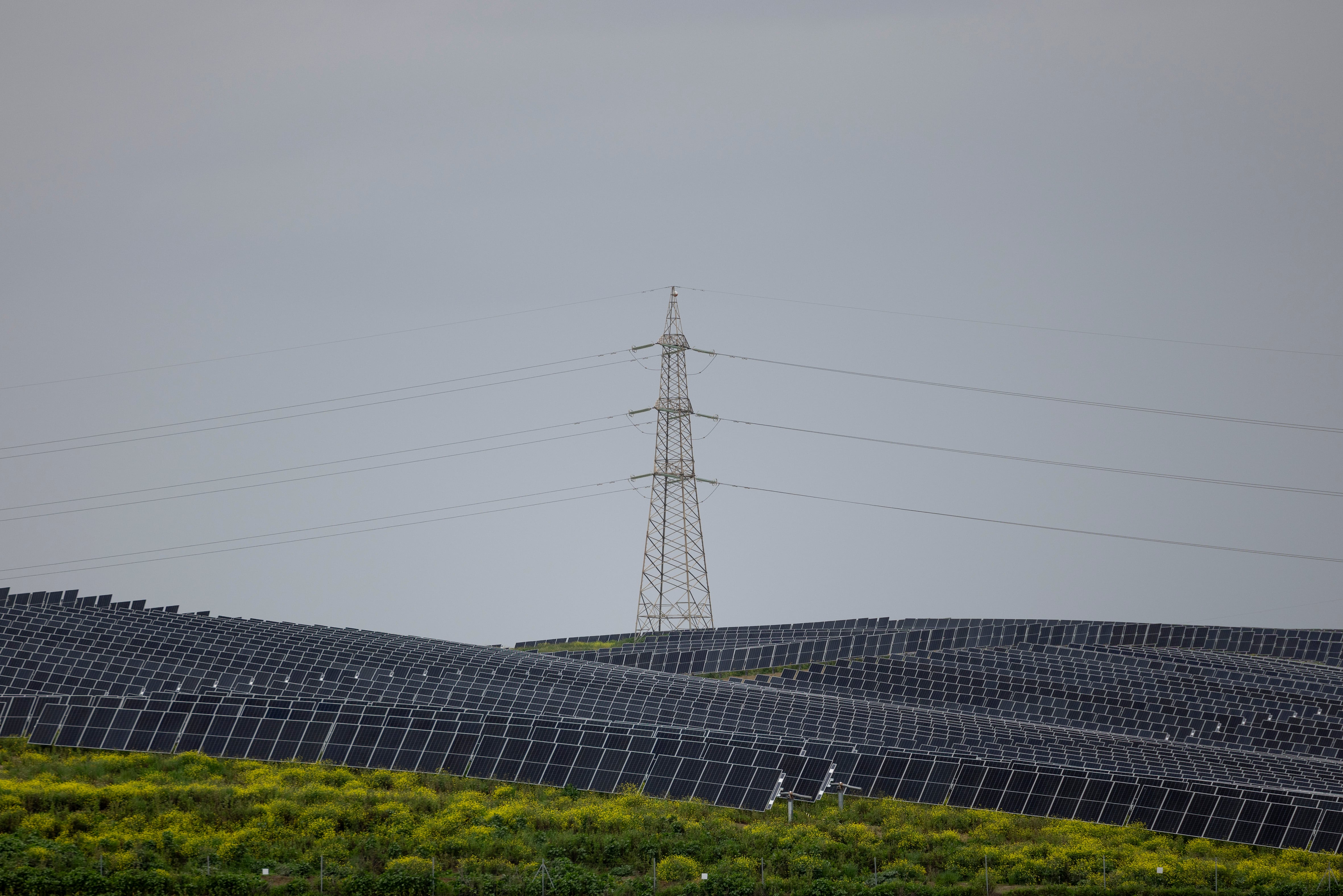 Planta fotovoltaica  en la localidad sevillana de Guillna en marzo de 2025.