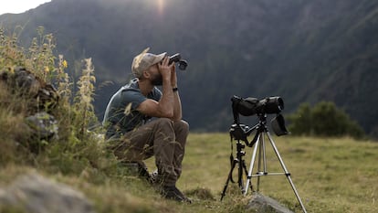 Marià Serrat, en búsqueda de osos pardos durante el atardecer.