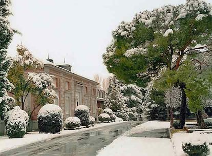 Este año, los Reyes han optado por una imagen más sobria para felicitar las Navidades, con una tarjeta en la que tan sólo se muestra el Palacio de la Zarzuela nevado. En el 2005 la felicitación institucional creó cierta polémica por tratarse de un montaje fotográfico en el que aparecían los Reyes con sus siete nietos.