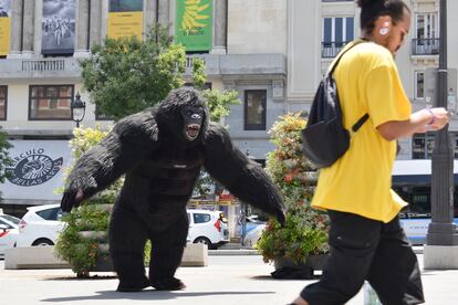 Un hombre disfrazado de King Kong trabaja durante la ola de calor en el centro de Madrid.