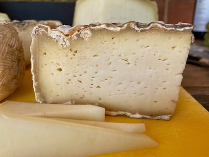 Queso curado de leche cruda.