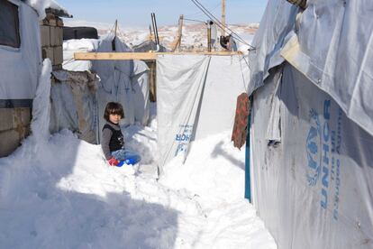 Uma criança síria de 8 anos morreu depois de ser arrastada pelas inundações e 11.000 refugiados foram afetados pela tempestade Norma no Líbano.