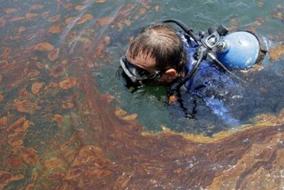 Un fotógrafo en medio del vertido de crudo en el golfo de México.