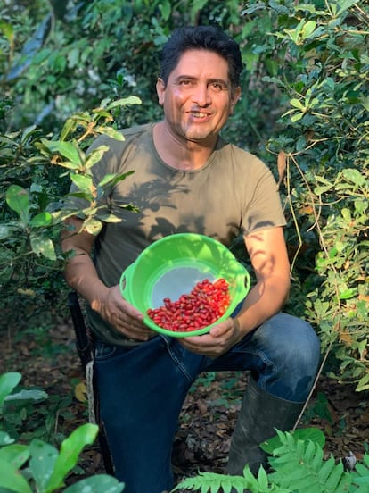 Diego Tapia, con las bayas. Imagen proporcionada por Zafrú Fruta Milagrosa.