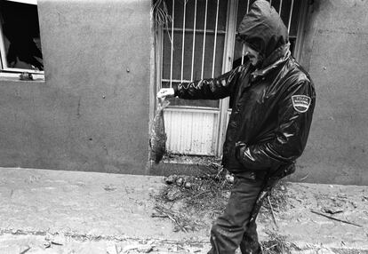 Un agente de la Policía Nacional muestra un pez en una calle de Alzira (Valencia), un día después de la rotura de la presa de Tous.