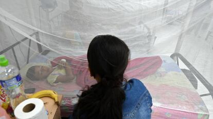 Un niño enfermo de dengue es tratado en la unidad especial del hospital universitario de Tegucigalpa (Honduras), el 3 de julio de 2019. Honduras ha declarado el estado de emergencia nacional por estas fiebres, que ya han costado la vida a 44 personas en lo que va de 2019. 