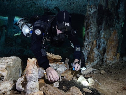 Un buceador toma muestras de los restos de madera quemada por los humanos del Pleistoceno para iluminar las labores de minería subterránea.