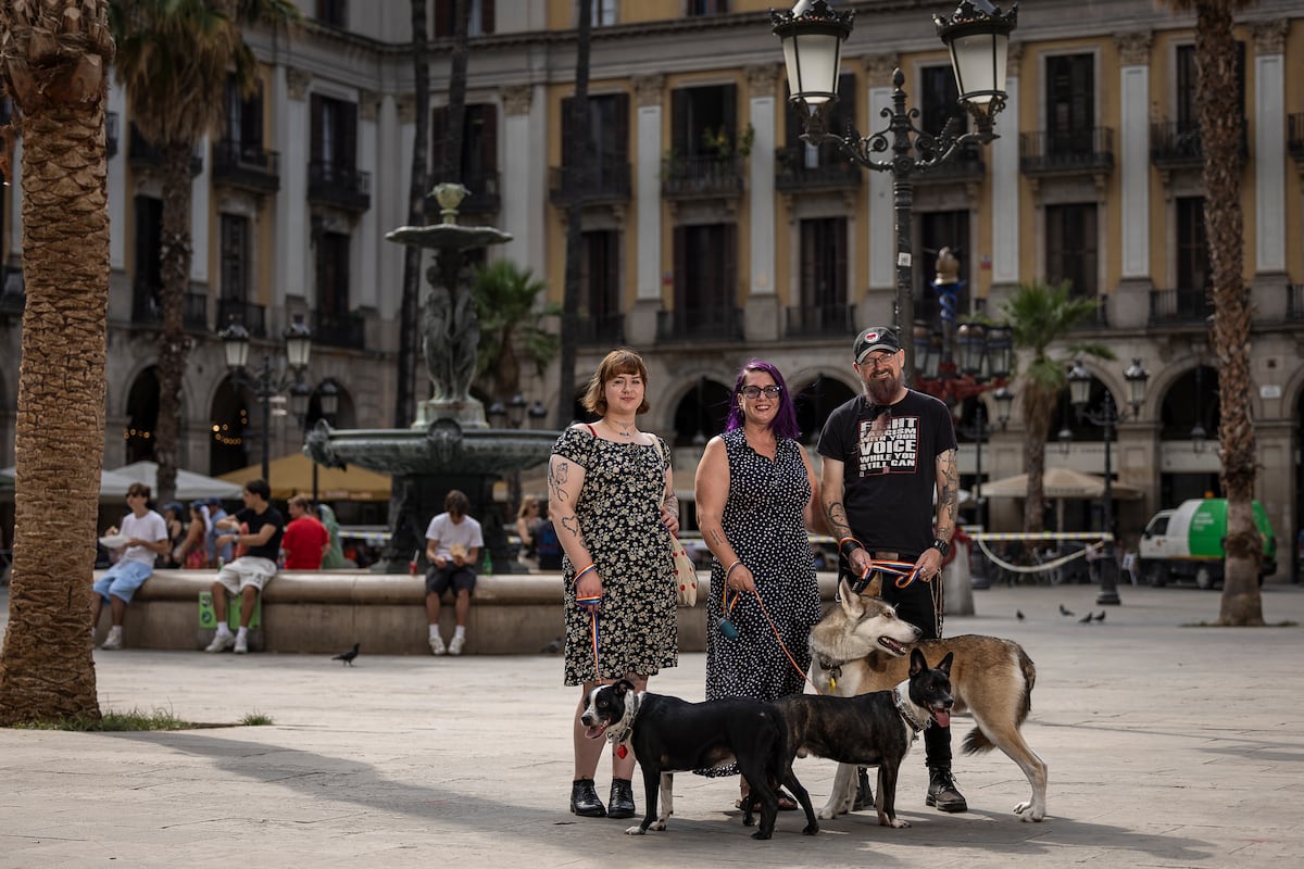 Trump’s ‘refugees’ settle in Spain: ‘We’re not going back to the United States’
