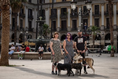 La familia Gorman, de izquierda a derecha, Frankie, Chrys y Benjamin junto a sus perros Merry, Havoc y Pippin en la plaza Real de Barcelona.