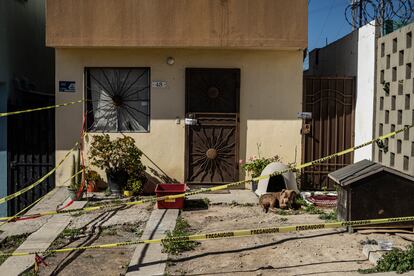 La casa y el perro de la periodista Lourdes Maldonado, asesinada el pasado 23 de enero.