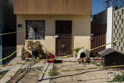 La casa y el perro de la periodista Lourdes Maldonado, asesinada el pasado 23 de enero.