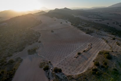 Desierto Andalucía y Murcia