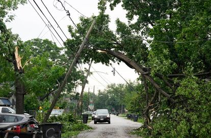 Un árbol caído y atrapado en el tendido eléctrico en el noreste de Houston, Texas, el viernes 17 de mayo de 2024