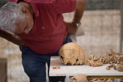 Cráneo y esqueleto de uno de los integrantes de la Columna Minera. Los signos de violencia y los restos de metales pesados inhalados en las minas han sido determinantes para concluir que los restos pertenecían a los mineros fusilados el 31 de agosto de 1936 por las tropas sublevadas de Queipo de Llano en Sevilla.