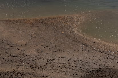 Los embalses se sitúan hoy al 15,8% y la falta de previsiones de lluvias a medio plazo han atrapado a la comunidad en el largo túnel sin final a la vista y con consecuencias económicas y políticas todavía inciertas. En la imagen, tierra seca en el embalse de Llosa del Cavall (Lleida), este jueves.