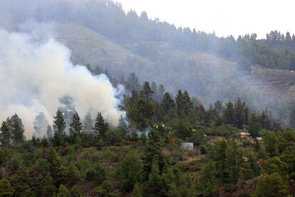 Aunque el incendio evoluciona de forma favorable, se mantienen activos tres frentes, este lunes. El más preocupante el que avanza en el Parque Nacional de La Caldera de Taburiente.